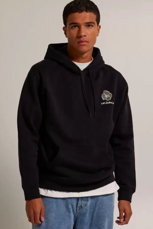 Pulls & Gilets | Sweaters & hoodies<America Today Sweat a capuche Stan hood Black