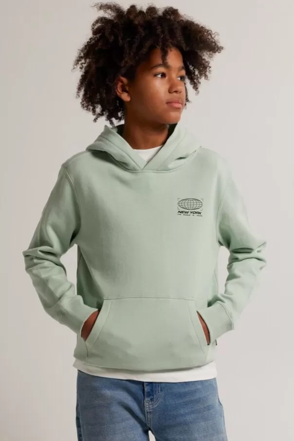 Pulls & Gilets<America Today Sweat a capuche Steef Hood JR Softgreen