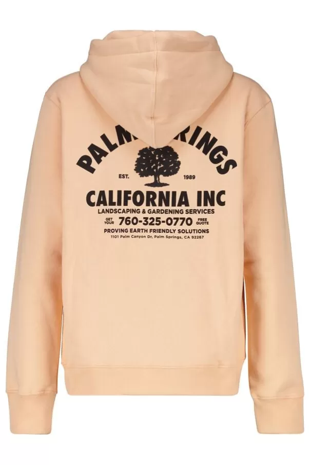Pulls & Gilets<America Today Sweat a capuche Stevie hood jr Peach