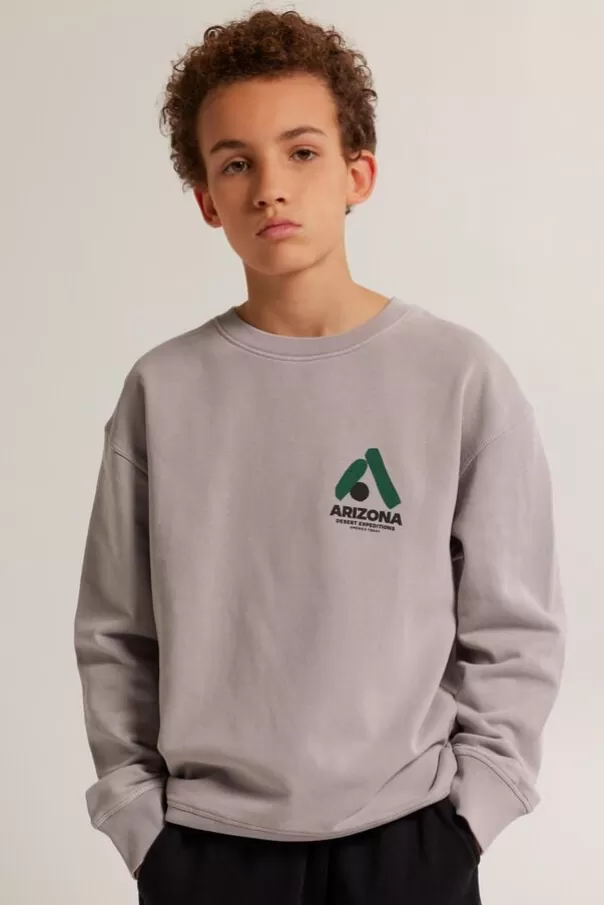 Pulls & Gilets | Sweats & sweats à capuche<America Today Sweat Sky Crew JR Lightgrey | Greencast